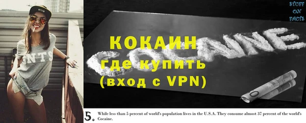 ешки Инсар