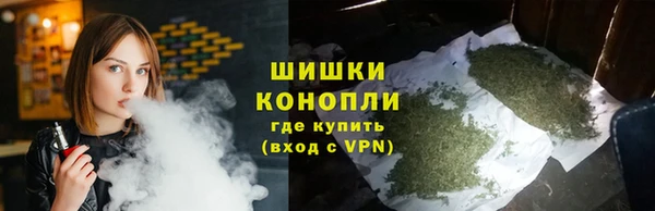 ешки Инсар