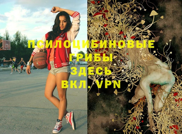 ешки Инсар