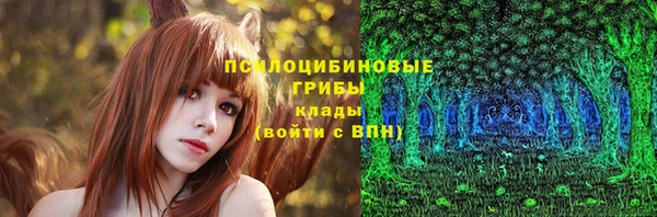 ешки Инсар