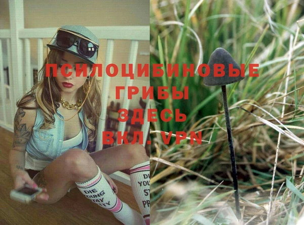 ешки Инсар